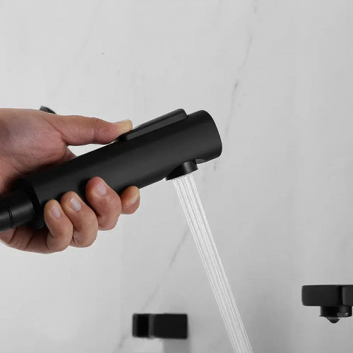 Смеситель для раковины Shevanik S8271H с гигиеническим душем цвет Черный