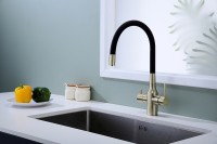 Смеситель для кухни Paulmark Salix Sa213419-BR Бронза латунь