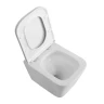 Унитаз BelBagno Ardente-R BB520CH-TOR/SC подвесной цвет Белый с сиденьем Микролифт