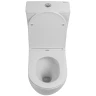 Унитаз компакт BelBagno Sfera-Tor BB2141CP-TOR без бачка и сиденья фаянс напольный