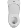 Унитаз компакт BelBagno Sfera-Tor BB2141CP-TOR без бачка и сиденья фаянс напольный