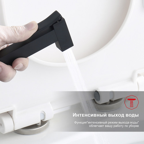 Гигиенический душ со смесителем Raglo R01.53.06 Черный матовый латунь встраиваемый