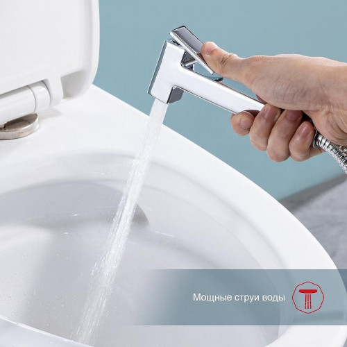 Гигиенический душ со смесителем Raglo R51.55 цвет Хром