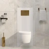 Инсталляция WasserKRAFT Salm 27TLT.010.ME.WH.PG04 для унитаза Белое стекло с клавишей смыва Золото глянцевое