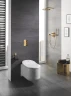 Клавиша смыва Grohe Skate Cosmopolitan 38732GL0 Холодный рассвет