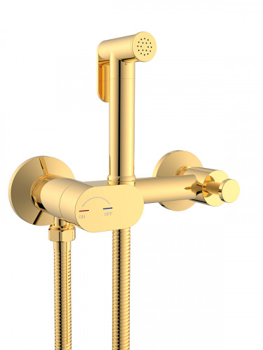 Гигиенический душ со смесителем WeltWasser Higi R02 GL 10000013664 цвет Золото