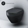 Унитаз AM.PM Spirit V2.0 C701700MBSC подвесной Черный матовый с сиденьем микролифт фарфор подвесной