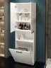 Шкаф пенал DIWO Брянск 60 1088228 цвет Матовый белый