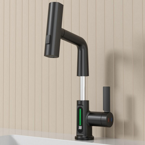 Смеситель для раковины Black&White Sky Day SD3027B 3027B Черный матовый