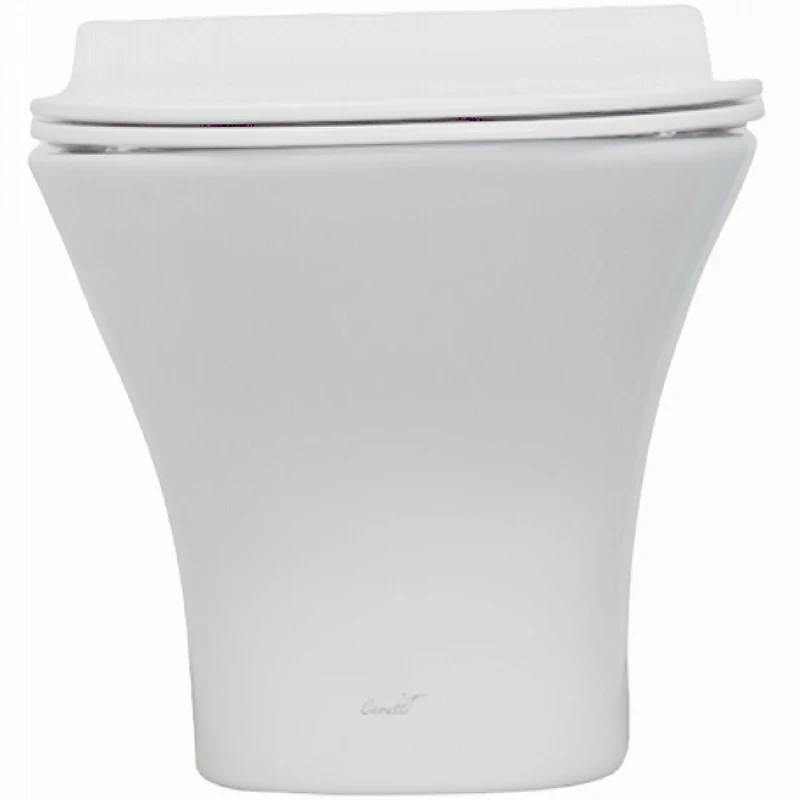 Унитаз Ceruttispa Vettore Aria MW CT9242 подвесной Белый матовый с сиденьем Микролифт фарфор подвесной