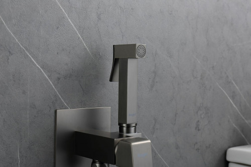 Гигиенический душ со смесителем Raglo R01.52.09 Графит матовый латунь встраиваемый