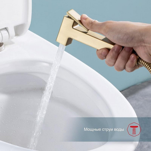 Гигиенический душ со смесителем Raglo R51.55.03 цвет Золото матовое