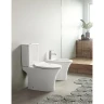 Унитаз-компакт Azario Fretta Round AZ-1217 + AZ-1216 цвет Белый с бачком и сиденьем Микролифт
