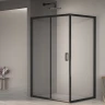 Душевой уголок RGW Passage PA-245B 100x90 410824590-14 профиль Черный стекло прозрачное