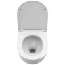 Унитаз BelBagno Uno-Tor BB5177CH-TOR/SC подвесной с сиденьем Микролифт фаянс подвесной