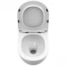 Унитаз BelBagno Uno-Tor BB5177CH-TOR/SC подвесной с сиденьем Микролифт фаянс подвесной