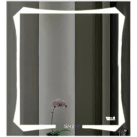 Зеркало WeltWasser Otto 60x80 с подсветкой и динамиками 10000000969 Хром стекло