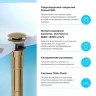 Донный клапан Wellsee Drainage System 182141000 click-clack цвет Золото