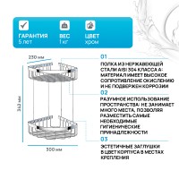 Полка корзина AM.PM Sense L A7452200 угловая Хром