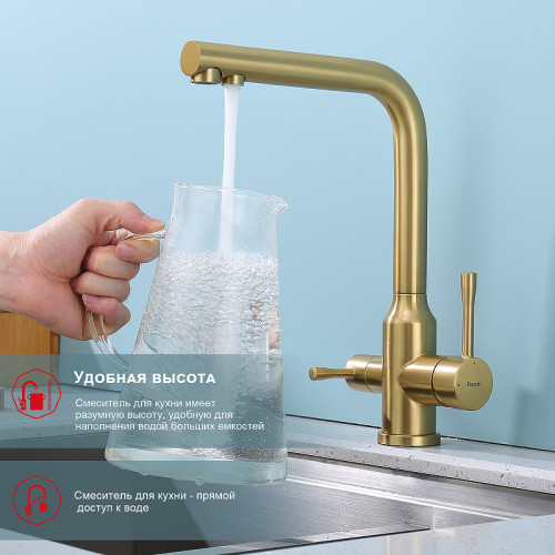 Смеситель для кухни Raglo R81.61.03 Золото матовое латунь