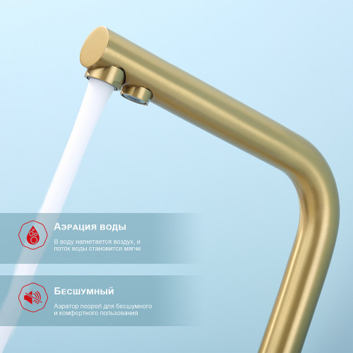 Смеситель для кухни Raglo R81.61.03 Золото матовое латунь