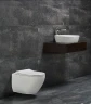 Унитаз beWash Bogen 88393201 подвесной Белый глянцевый с сиденьем Микролифт фарфор подвесной