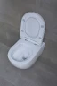 Унитаз beWash Bogen 88393201 подвесной Белый глянцевый с сиденьем Микролифт фарфор подвесной
