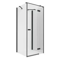 Душевое ограждение New Trendy REFLEXA Black x120 EXK-5046
