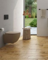 Унитаз Creavit Free FE322-11CM00E-0000 подвесной Капучино матовый без сиденья фарфор подвесной