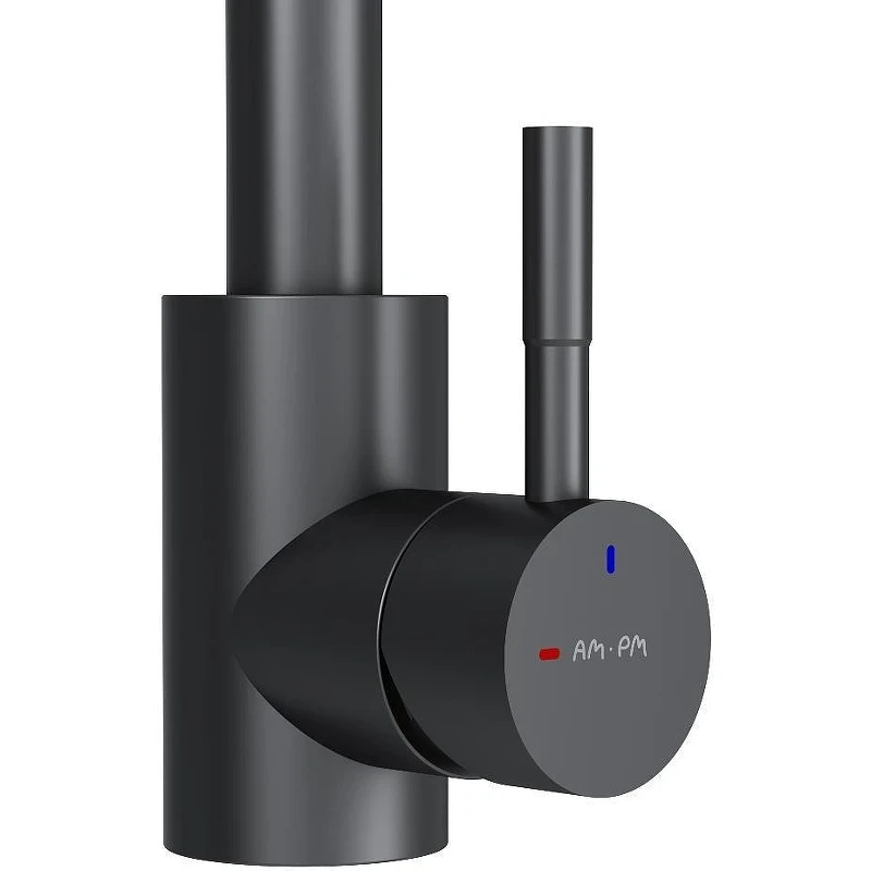 Смеситель для кухни AM.PM X-Joy S F85B05022 Черный матовый