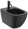 Смеситель для биде Ideal Standard Ceraline BC197XG Черный шелк латунь