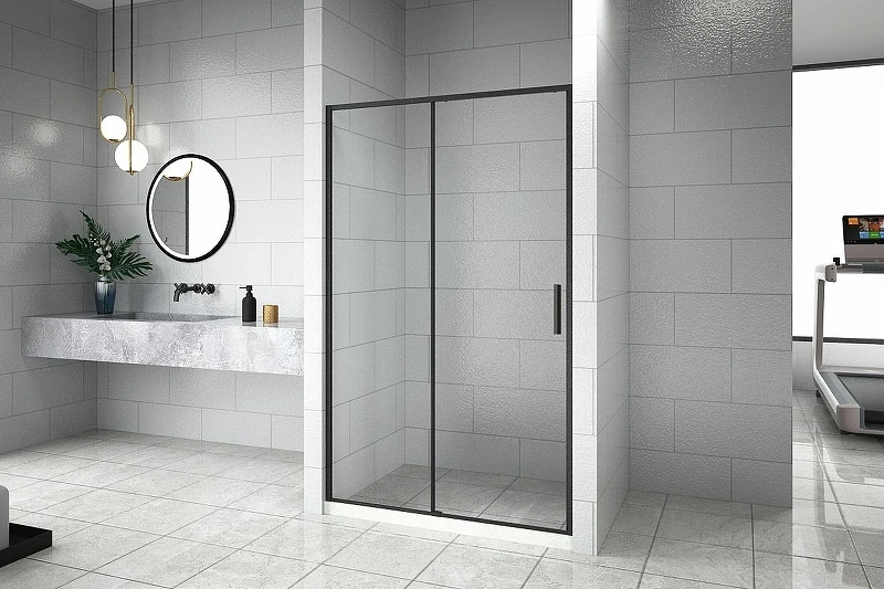 Душевая дверь Aquanet Pleasure Evo AE65-N120-BT 120 312537 профиль Черный стекло прозрачное