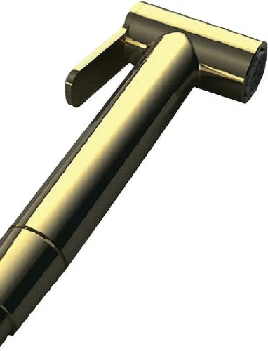 Гигиенический душ Teska BTK6907 Золото