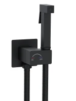 Гигиенический душ со смесителем WeltWasser Higi Q01 BL 10000013666 цвет Черный матовый