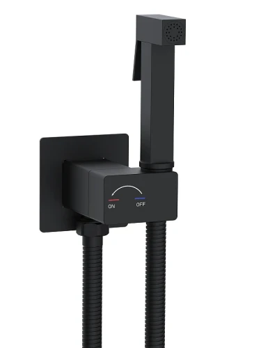 Гигиенический душ со смесителем WeltWasser Higi Q01 BL 10000013666 цвет Черный матовый