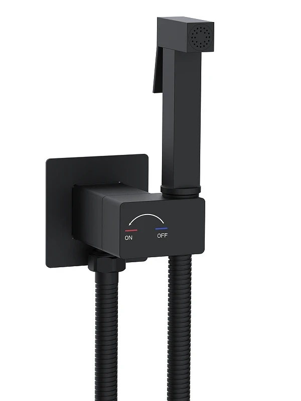 Гигиенический душ со смесителем WeltWasser Higi Q01 BL 10000013666 цвет Черный матовый