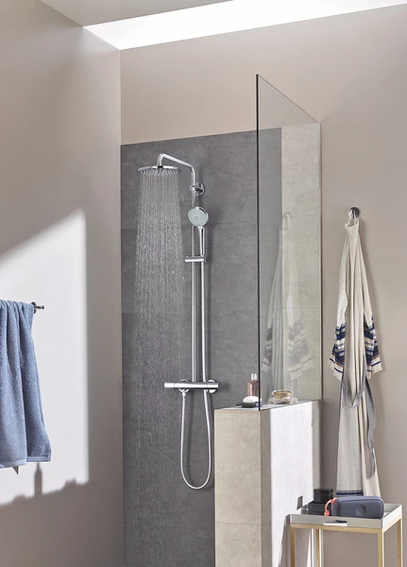 Ручной душ Grohe Euphoria 27221000 Хром пластик
