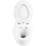 Комплект унитаза с инсталляцией BelBagno Prospero BB507B/BB2020SC/BB002-80/BB005-PR-CHROME с сиденьем Микролифт и клавишей смыва Хром глянцевый фаянс подвесной