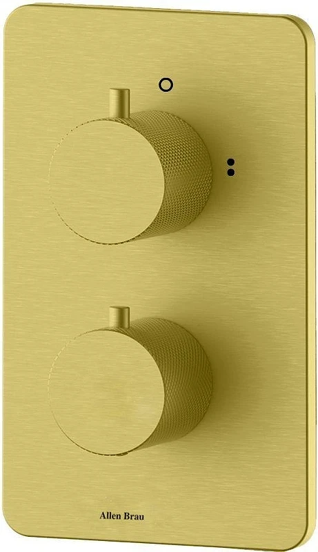 Смеситель для душа Allen Brau Priority 5.3U123-GB с термостатом цвет Золото