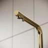 Смеситель для кухни Sancos Foster SC4014ZG цвет Полированное золото