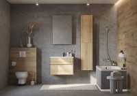 Зеркальный шкаф Aquaton Либерти 65 1A279302LYC70 Дуб эльвезия МДФ / ЛДСП, стекло