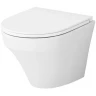 Унитаз AM.PM Inspire C501700WH подвесной без сиденья фарфор подвесной