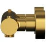 Смеситель для душа Whitecross Y brushed gold Y1246GLB с термостатом Брашированное золото латунь на стену