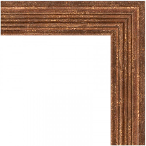 Зеркало Evoform Definite 133х73 BY 1099 в багетной раме - Сухой тростник 51 мм стекло