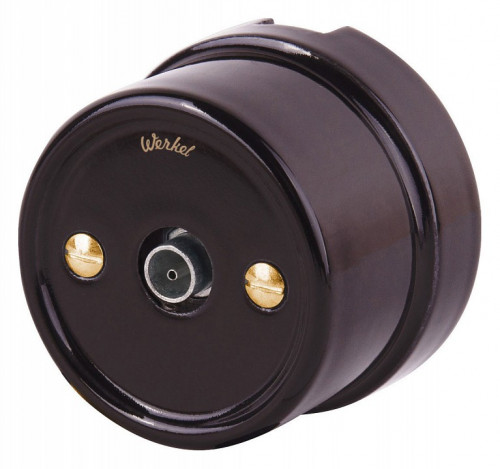 Винт Werkel Ретро (золото) WL18-22-01