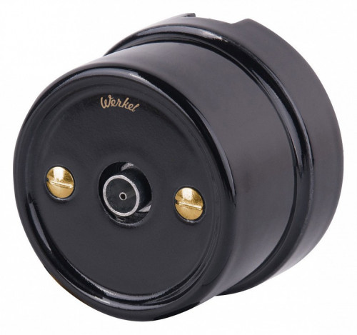 Винт Werkel Ретро (золото) WL18-22-01