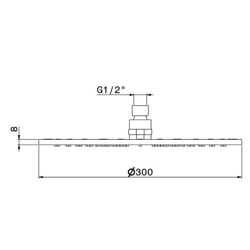 Верхний душ Newform X-Steel 316 26534X.50.050 цвет Inox