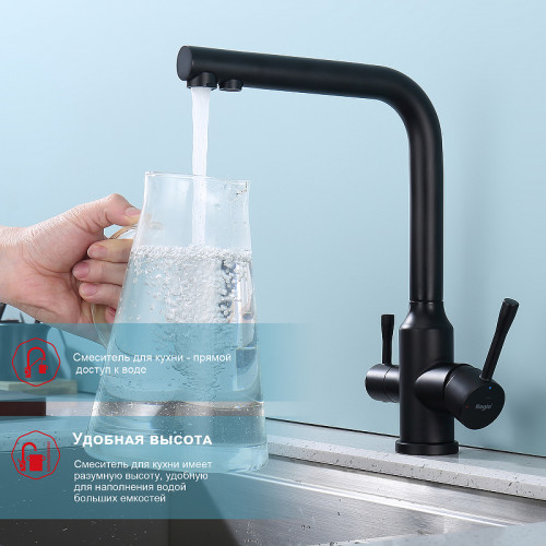 Смеситель для кухни Raglo R81.61.06 Черный матовый латунь