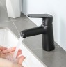 Смеситель для раковины Frap H17-6 F1017-6 Черный матовый латунь