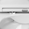 Унитаз с инсталляцией DIWO AM.PM Func C8F1701SC + DIWO 4501 с сиденьем Микролифт с клавишей смыва цвет Черный